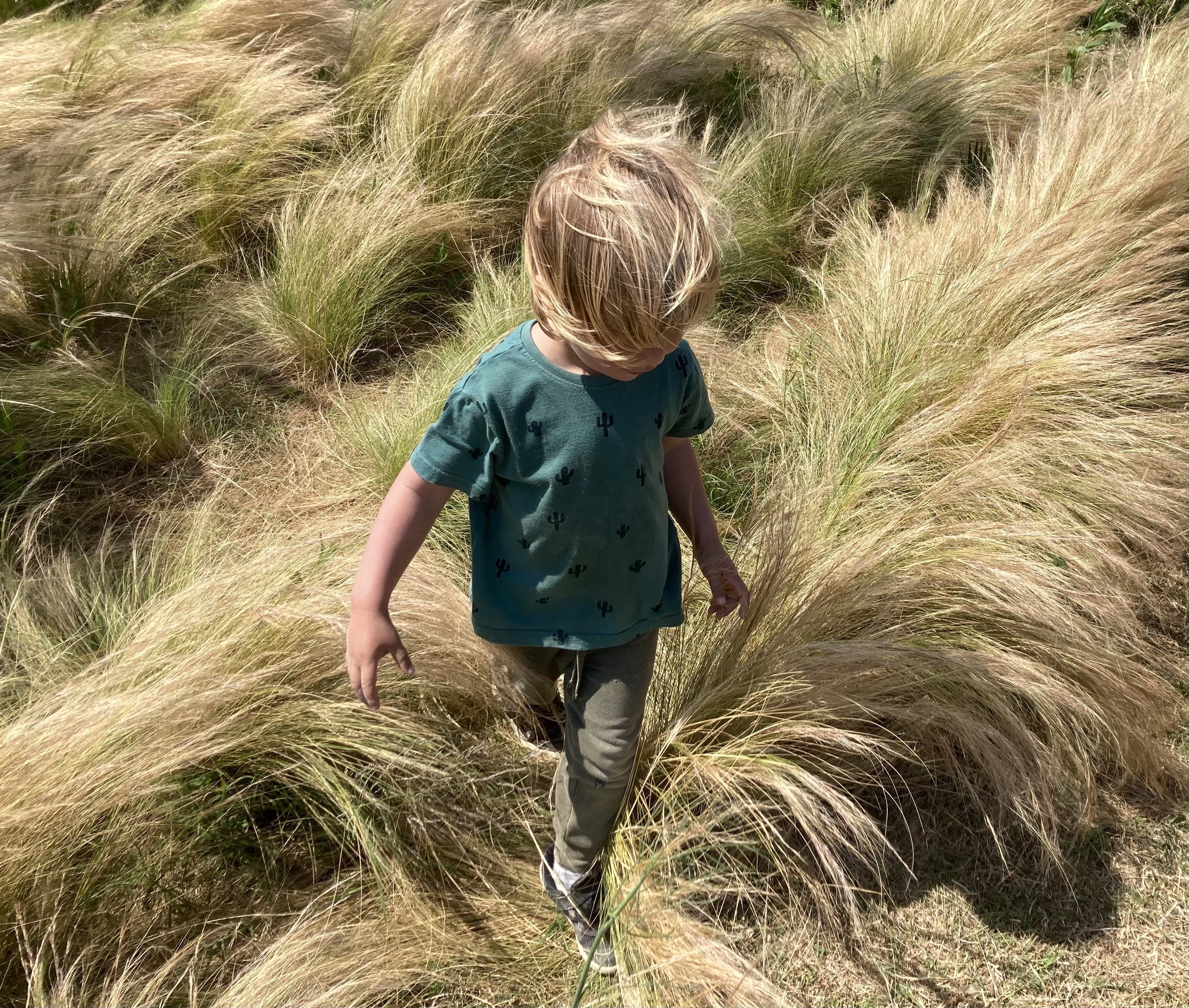 A boy with tousled blonde hair walking through a windy wheat field 