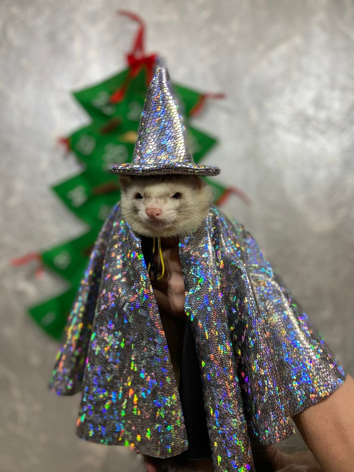 holographic cape and wizard hat on a ferret