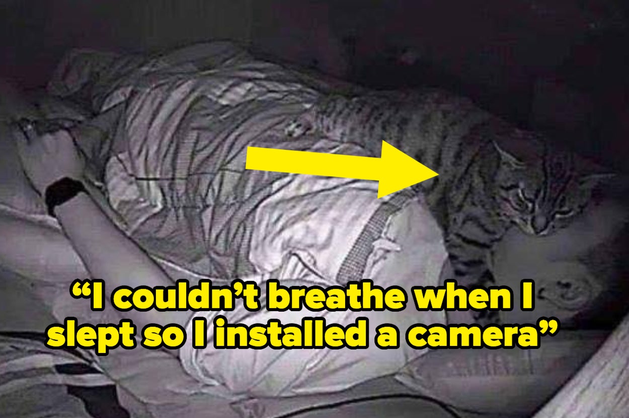 Cat sleeping on top of person's face at night