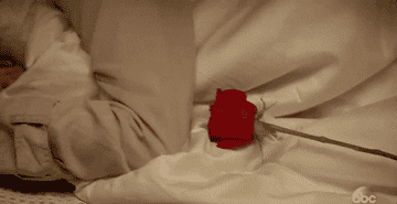 Contestant sleeping in a bed