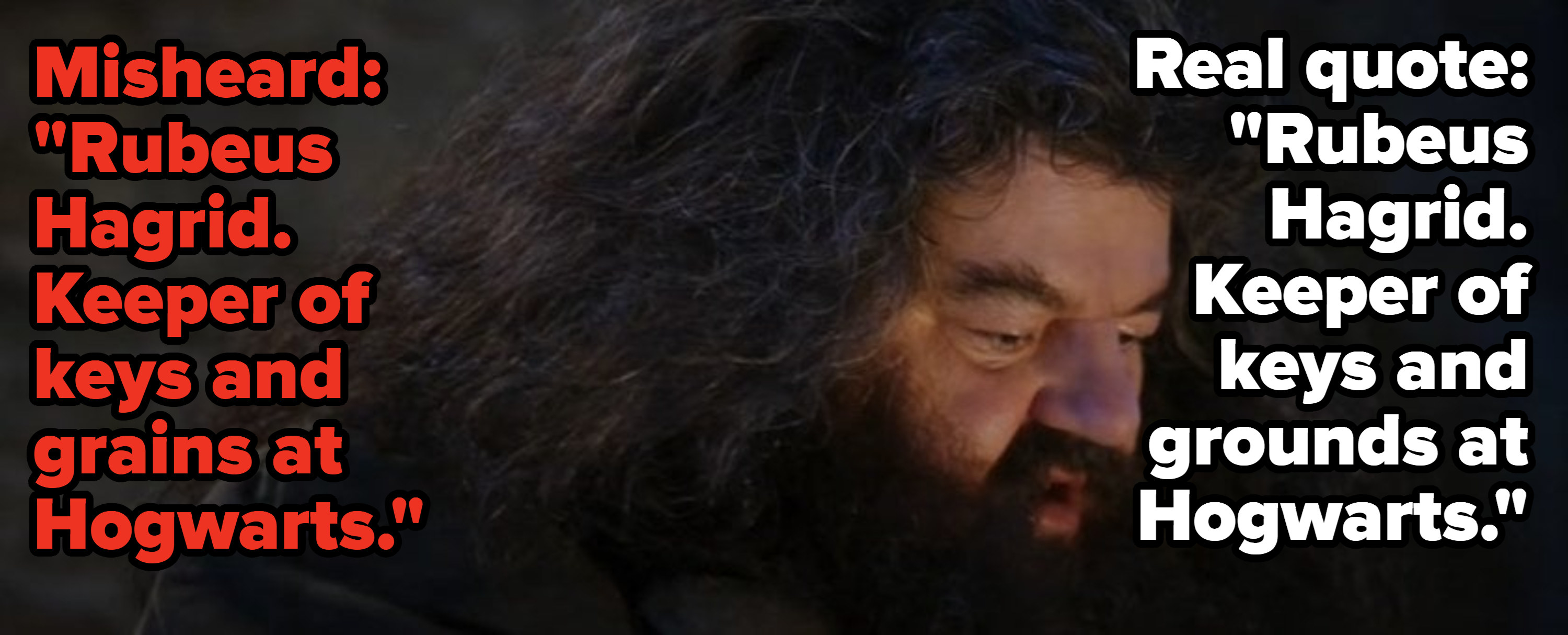 Hagrid talking