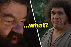 Hagrid from "Harry Potter" next to Fezzik from "The Princess Bride"