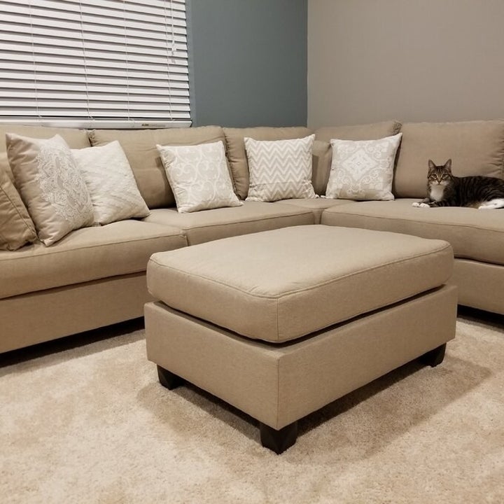 the sectional with pillows and a cat on top