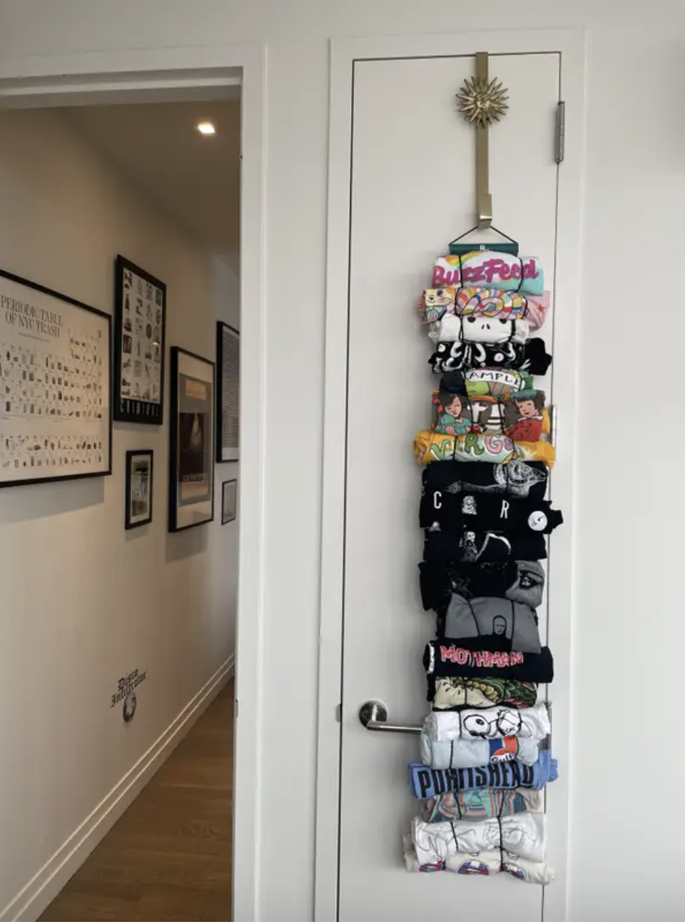 closet door closed with several shirts hanging from a hook at the top of the door. The shirts are attached by rolling them up and putting them through stretchy loops.