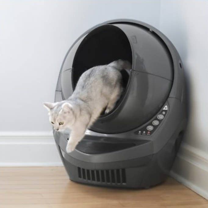 A cat jumping out of the black, wifi-controlled, automatic, self-cleaning litter box