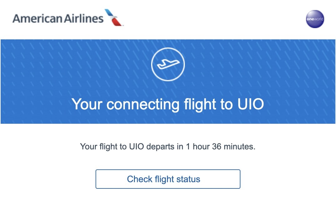 Screenshot of connecting flight information