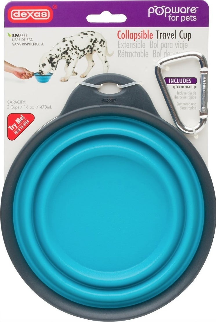 A blue, collapsible travel water/food bowl with a carabiner clip