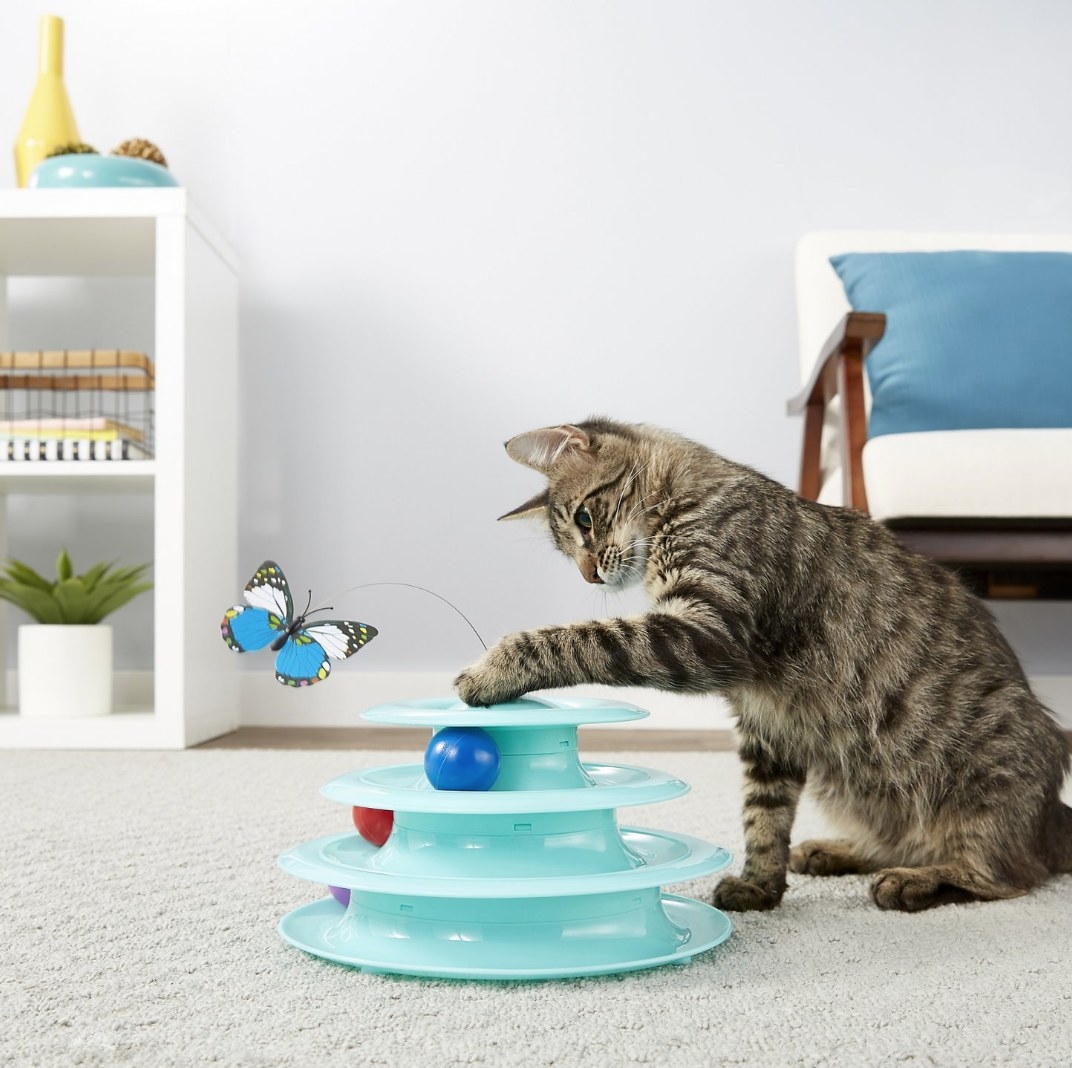 A cat playing with an interactive cat toy