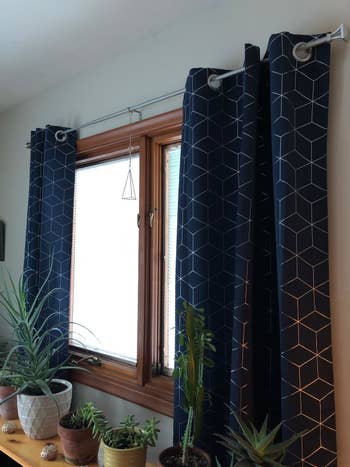 reviewer image of the navy blue curtains hanging behind a row of potted plants