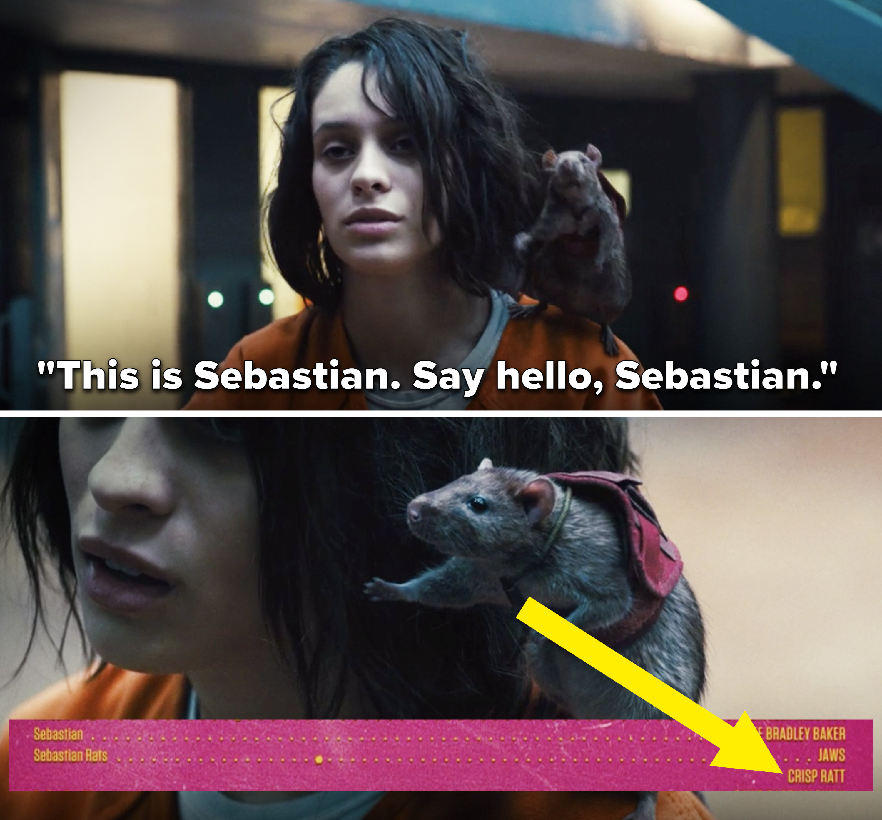 Ratcatcher 2 saying, &quot;This is Sebastian. Say hello, Sebastian&quot; and the rat waving