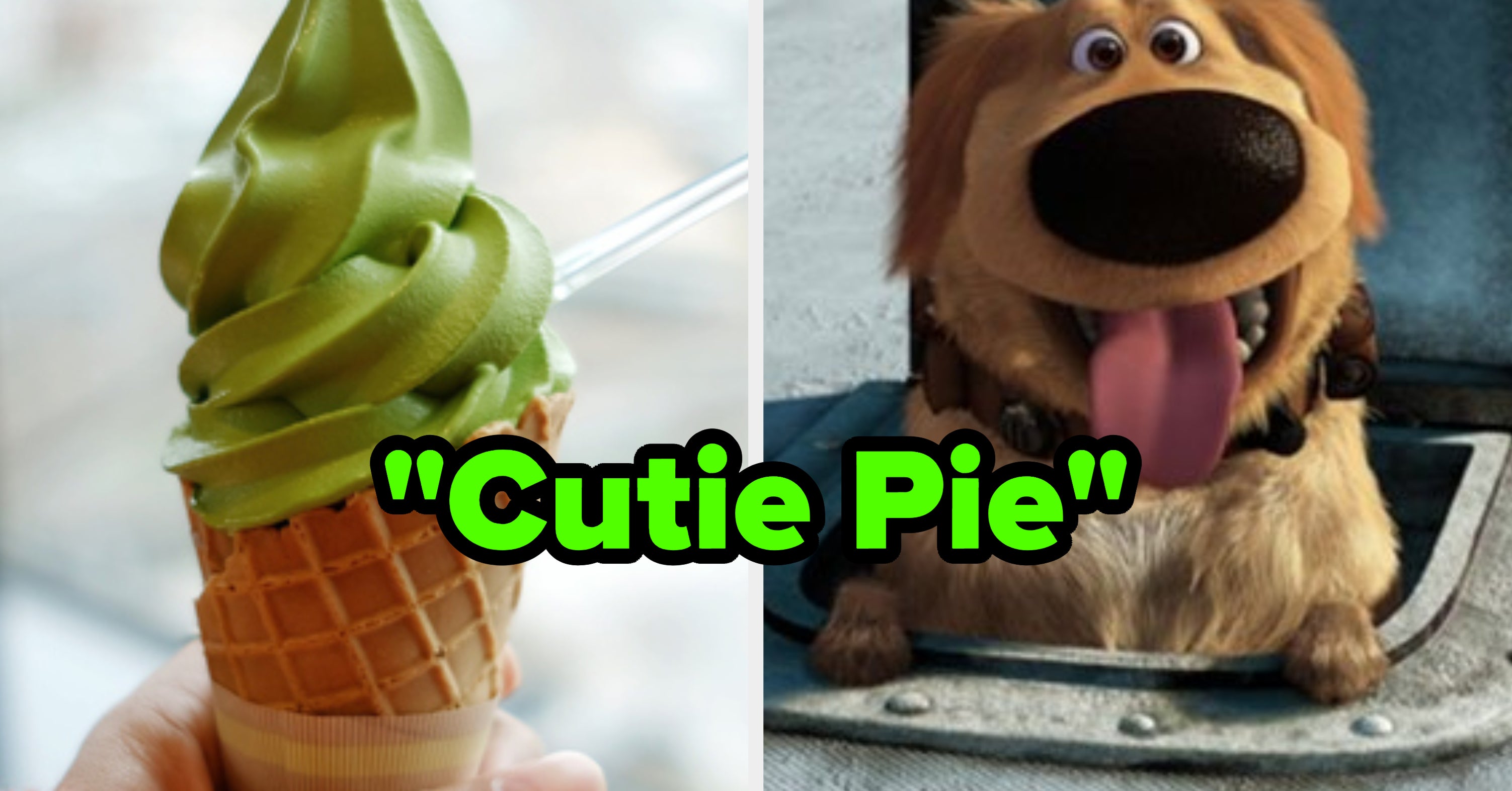 Pick Foods To Get A FoodRelated Pet Name