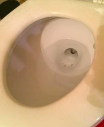 That same toilet bowl, but without the brown substance
