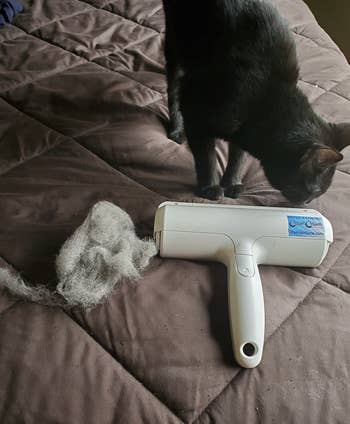 reviewer photo of the roller, fur, and a cat 