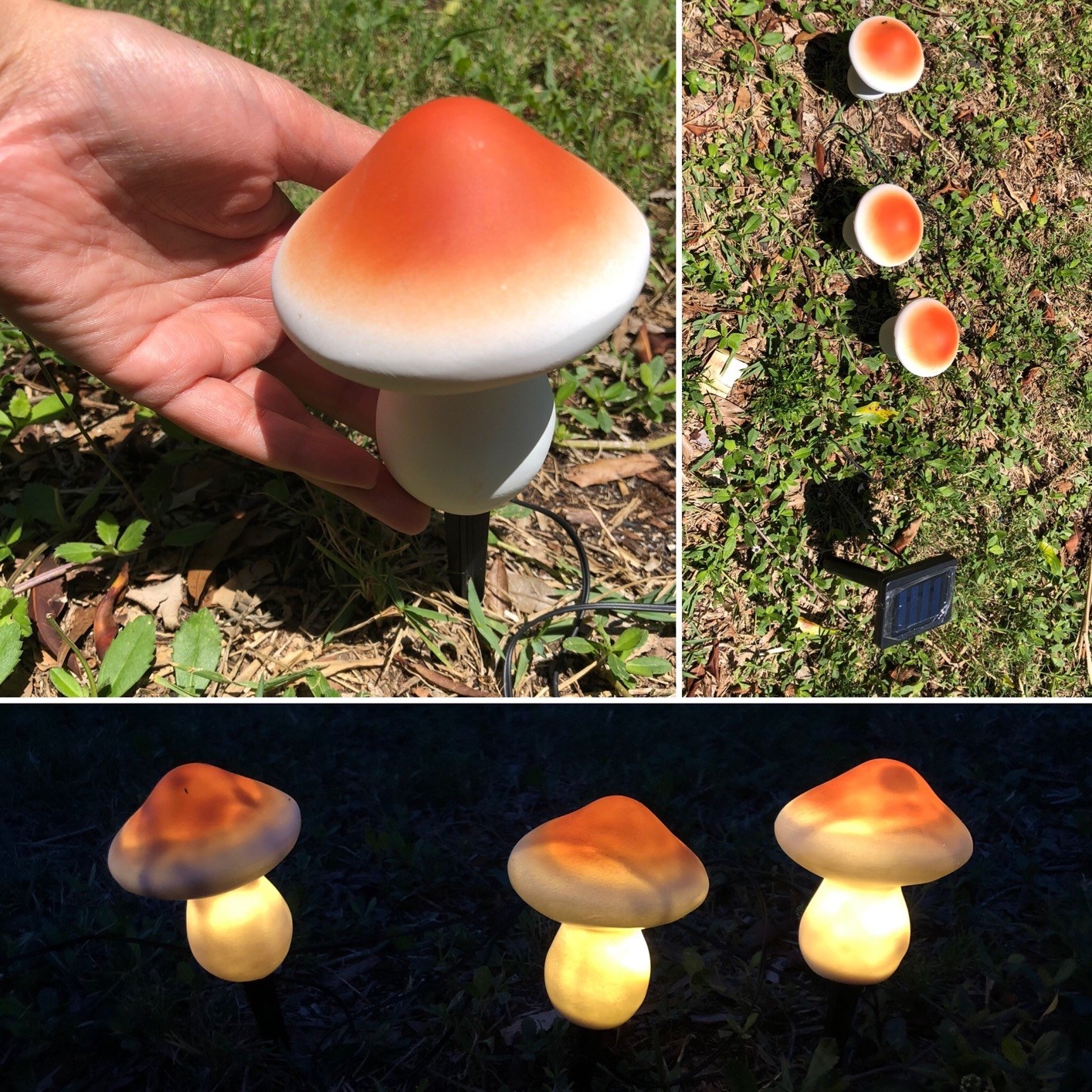 Reviewer&#x27;s mushroom lights are shown both on and off