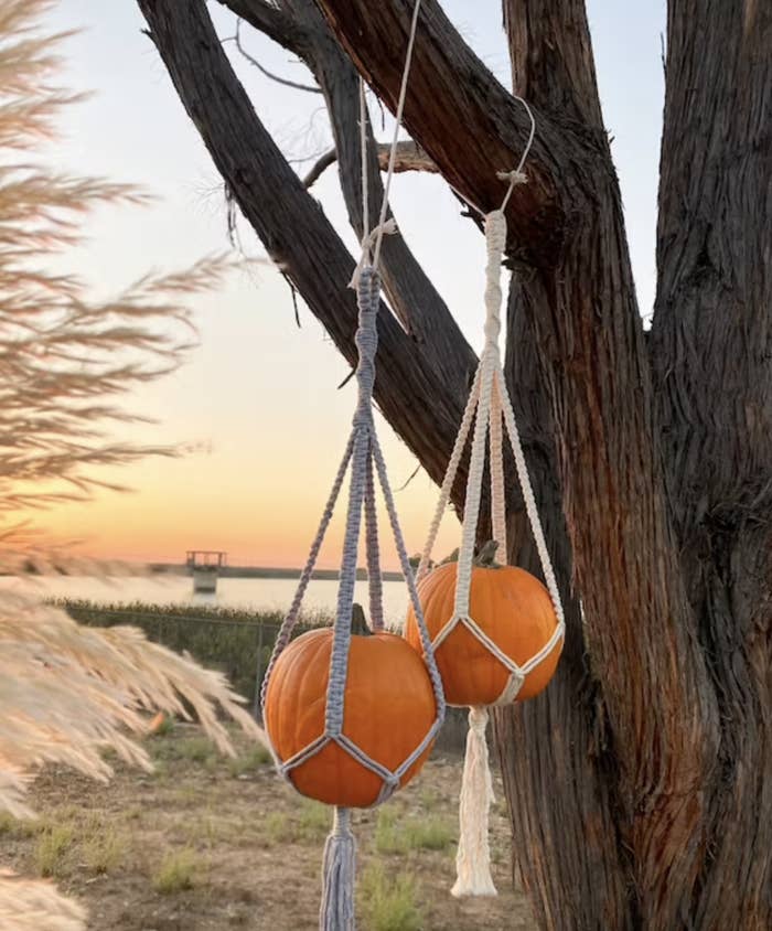 Two pumpkins hang in macrame planters hung from a tree