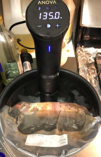 The Sous Vide in a pot with a piece of meat