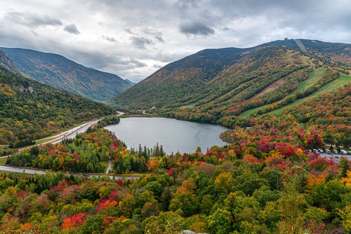 Trees changing color in the White Mountain, New Hampshire.