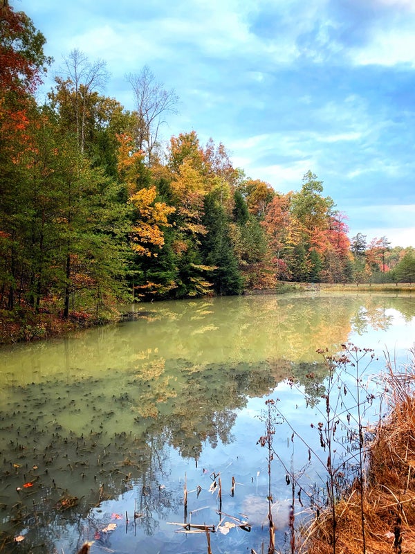 Red River Gorge in the Daniel Boone National Forest.