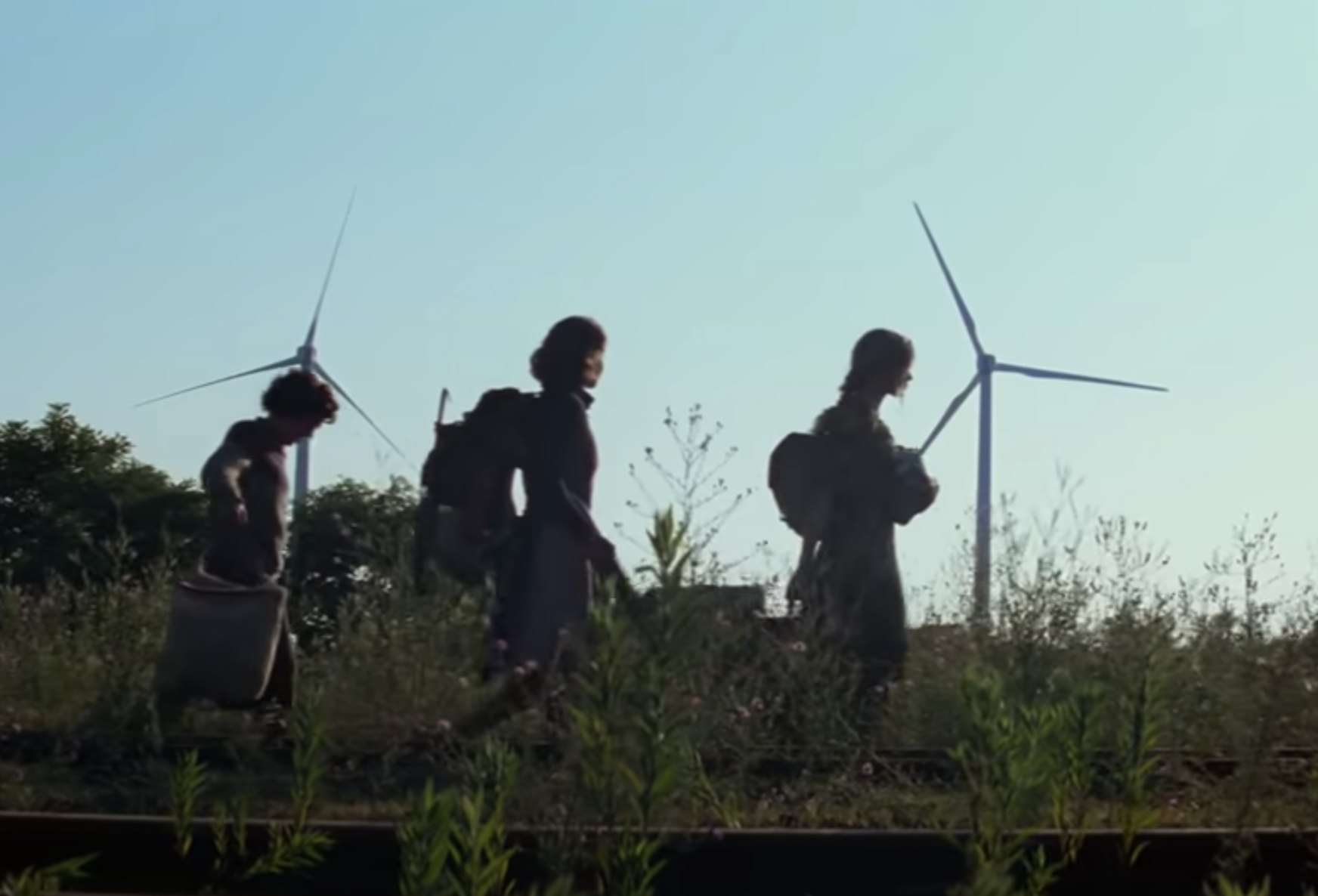 A group of three quietly walking in a field