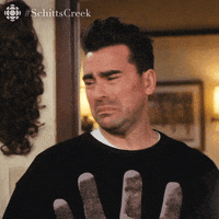 David Rose shaking his head and saying &quot;absolutely not&quot;