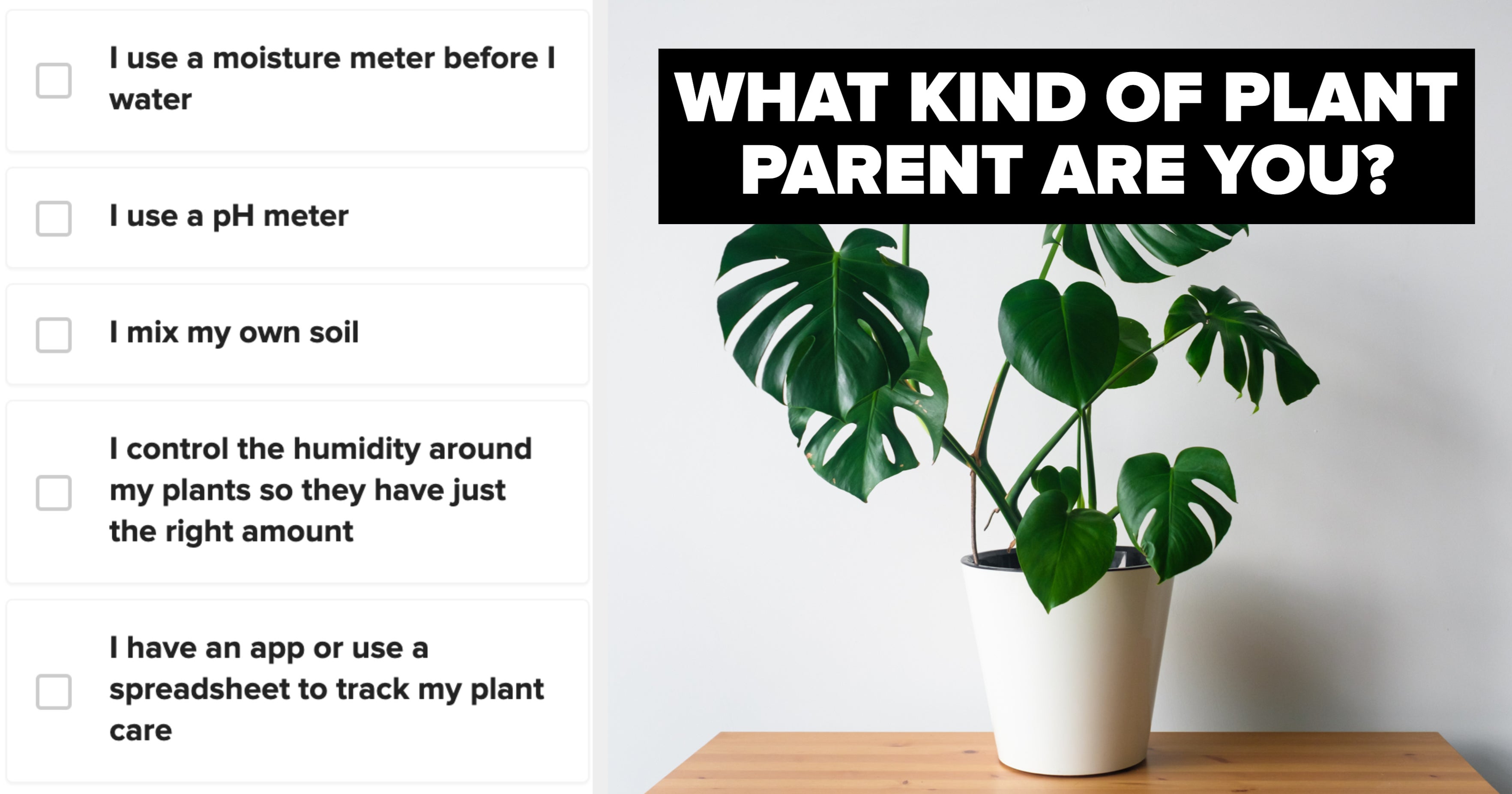What Kind Of Plant Parent Are You?