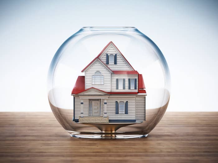 Home The Bubble Buzz