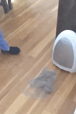a gif of a reviewer sweeping hair into the vacuum, which sucks it up 