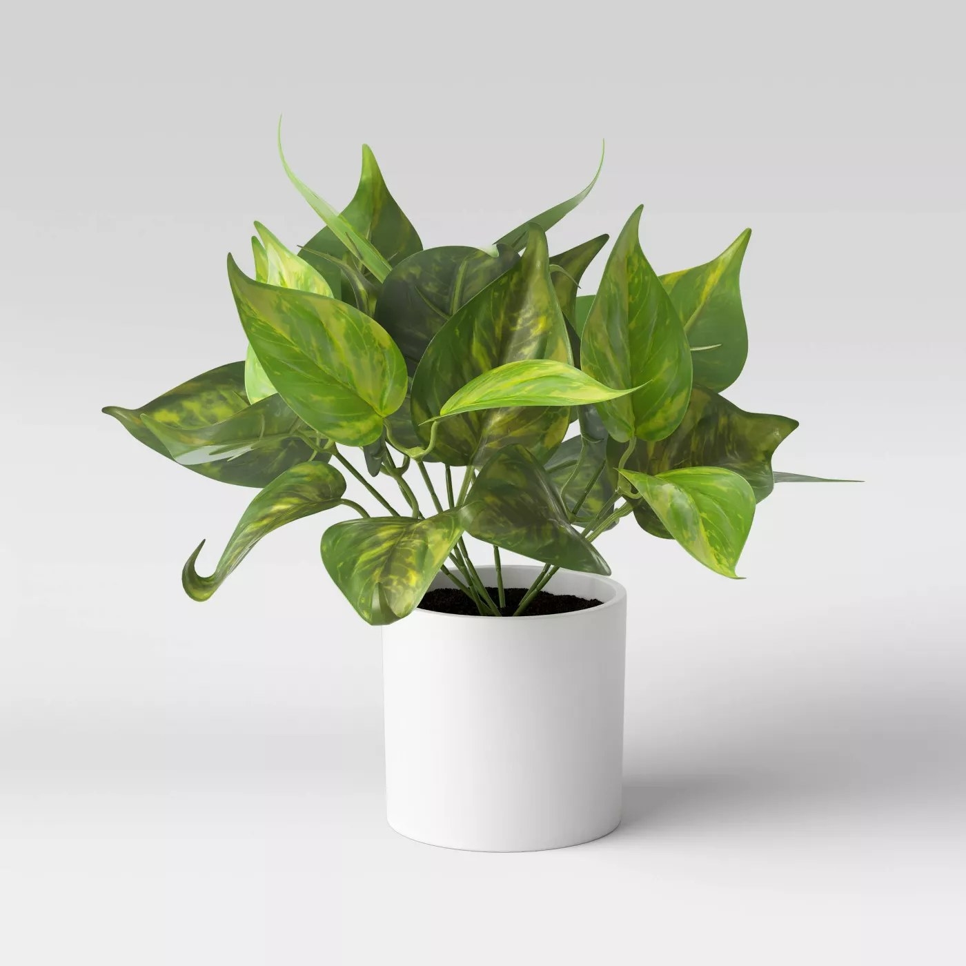 The plant is full of green and yellow speckled pothos leaves growing out of a white, sleek pot