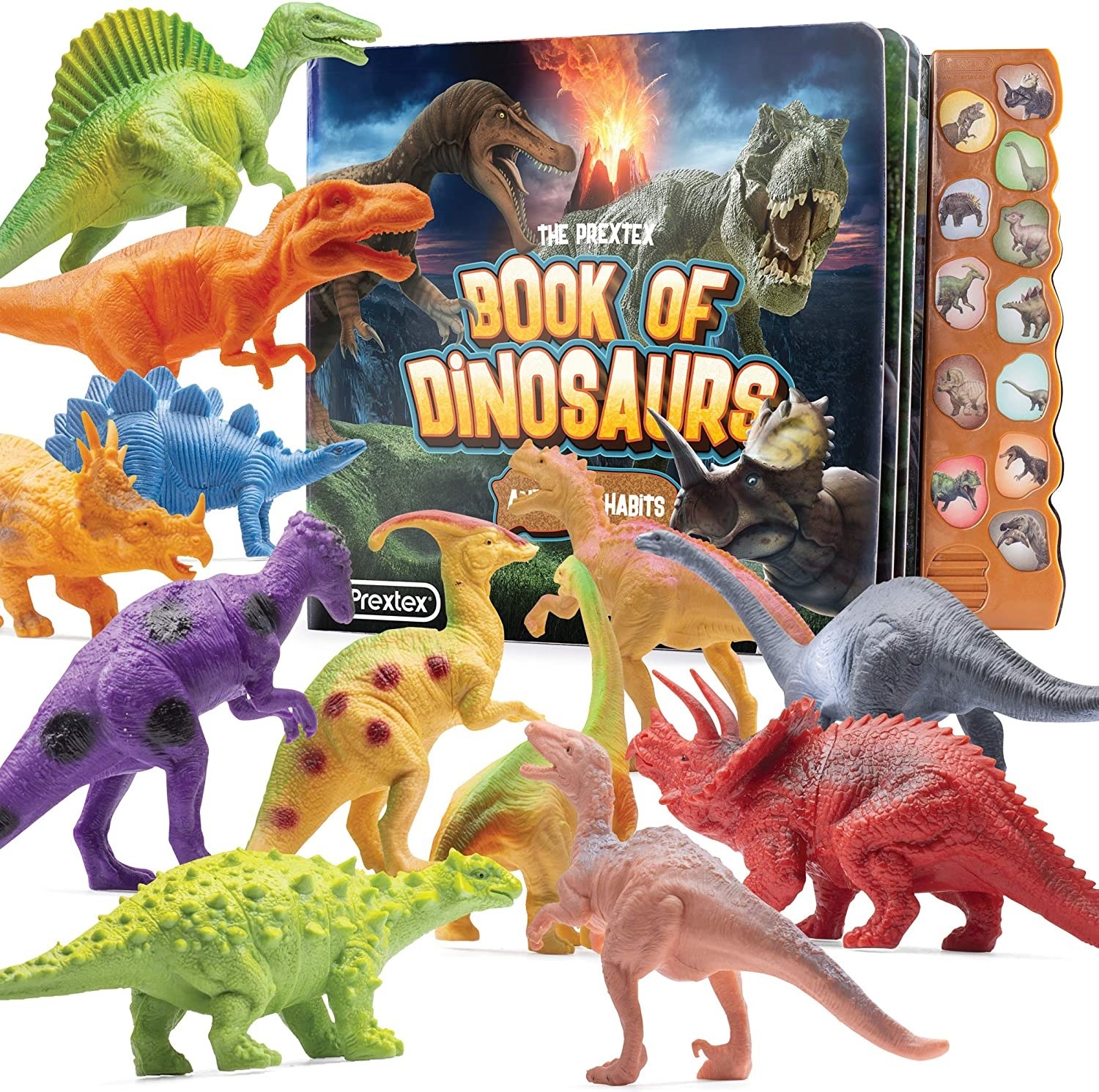 12 colorful dinosaur figures with a book