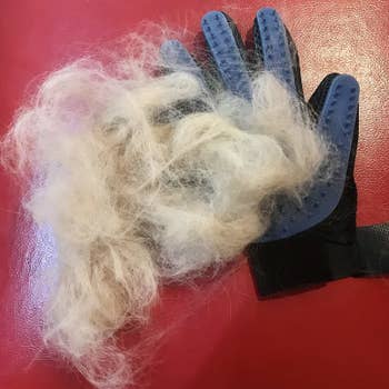 a reviewer photo of the glove covered in a pile of white hair 