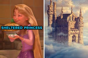On the left, Rapunzel from "Tangled" holding a pie labeled "sheltered princess," and on the right, a castle in the clouds