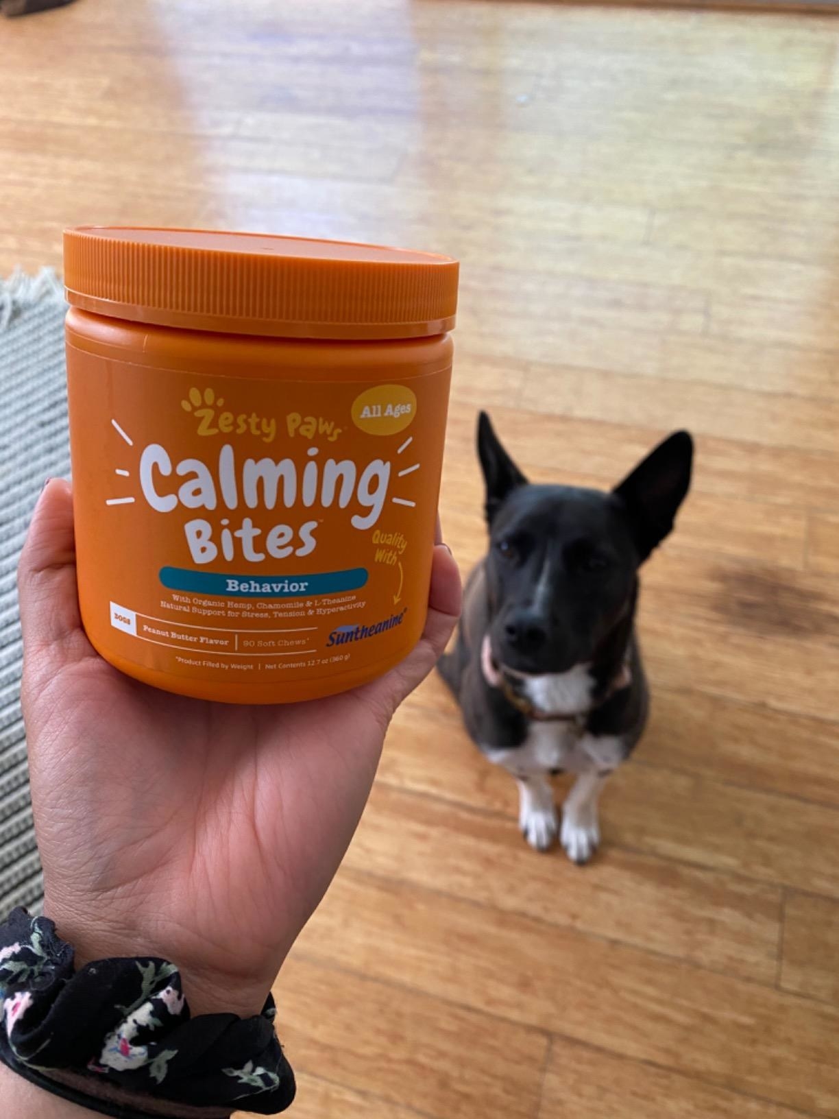 A customer review photo of them holding the orange tub with a dog in the background