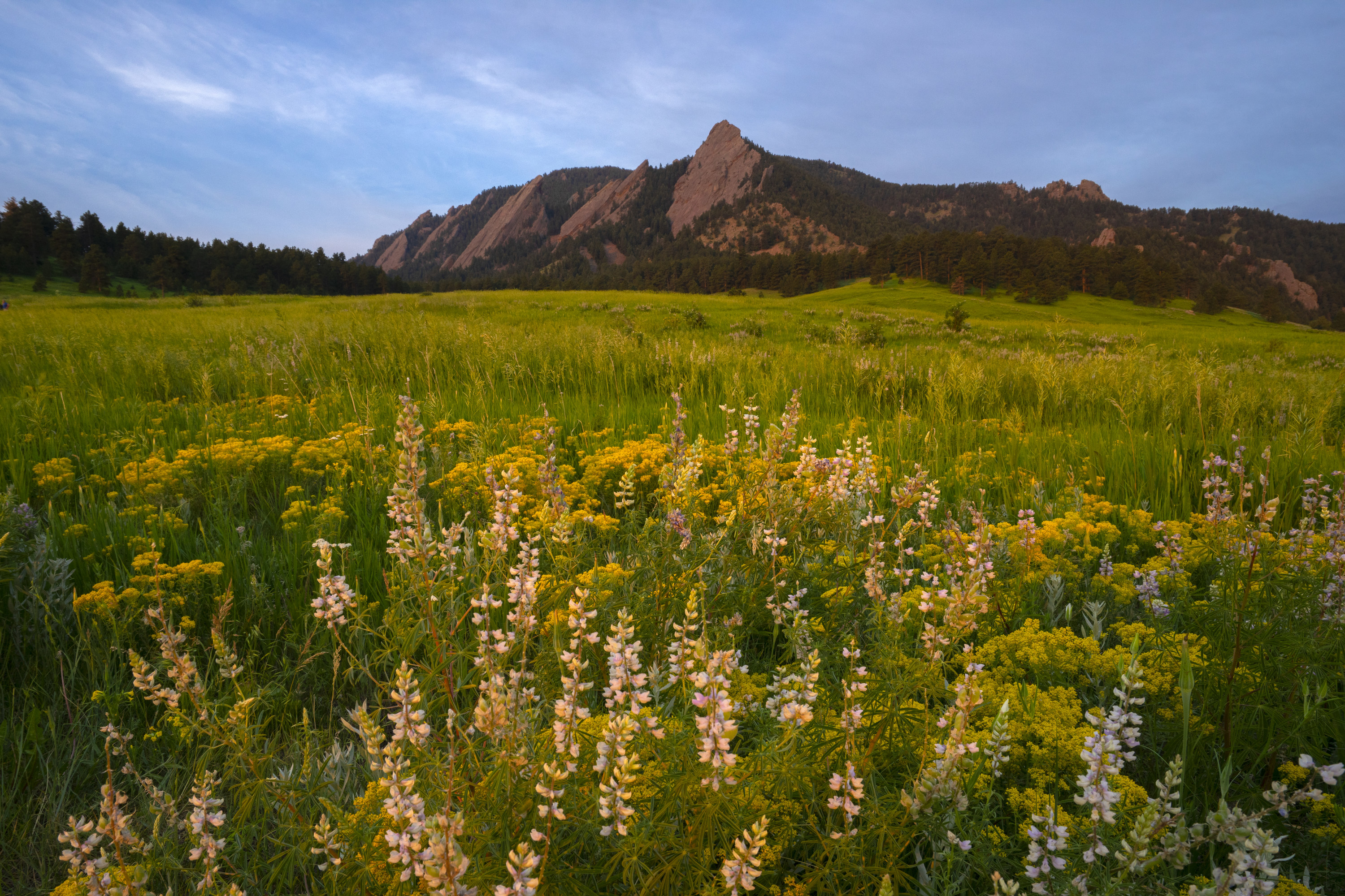 A scenic view in Boulder, CO