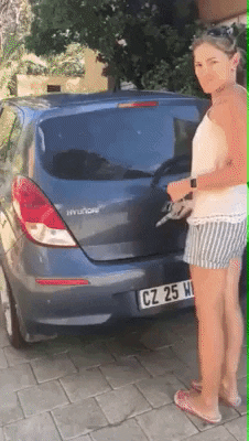 A woman opens a door of a car and dozens of puppies spill out