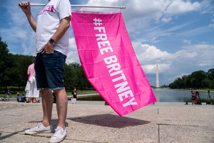 A person holding a flag reading "#FreeBritney" with the Washington Monument in the background