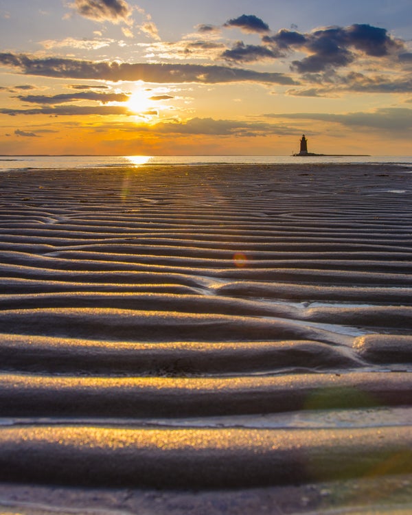 Delaware: Cape Henlopen State Park