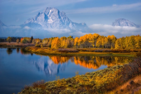 Fall colors at Grand Teton National Park.