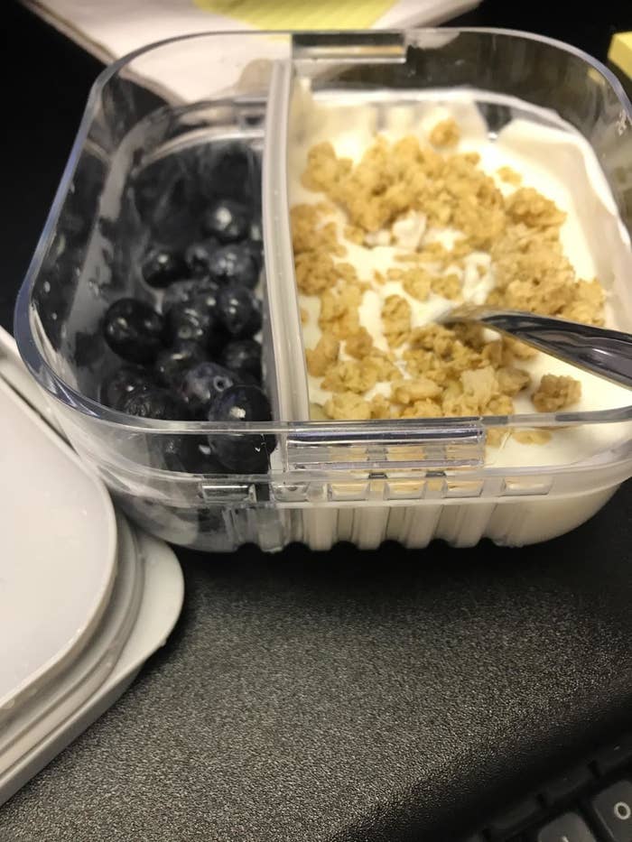 reviewer image of the bento snack box with a divider inside dividing yogurt from blueberries