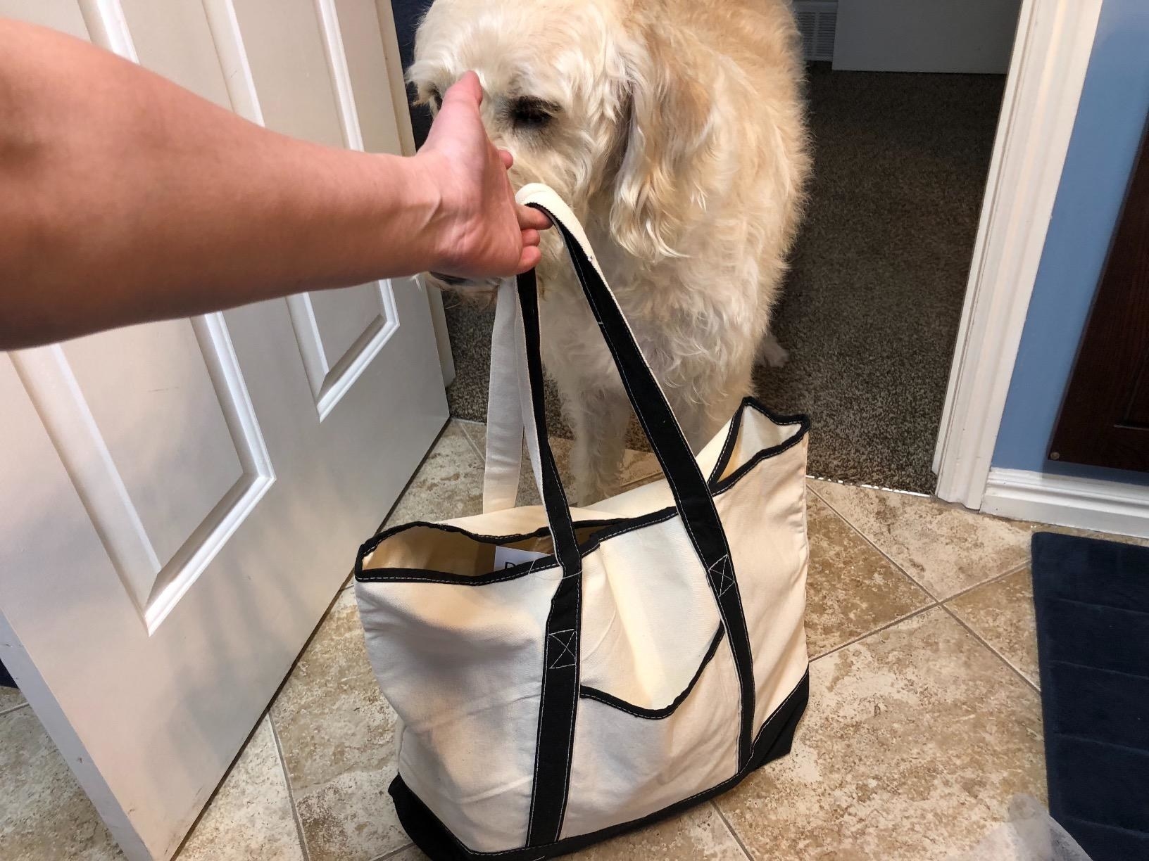 reviewer hold their canvas bag up to their dog