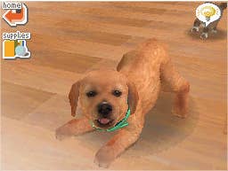 Nintendo 2ds hot sale dog game