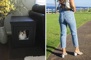 litter box that looks like an end table / jeans