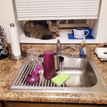 dish rack over reviewer's sink, drying dishes and a sponge