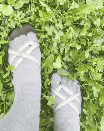 gif of the writer putting on Teva flip flops wearing the toe sock liners