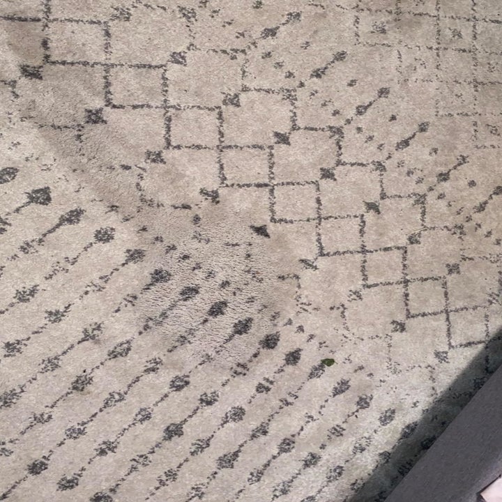 the same reviewer showing the same rug now looking as good as new after using the stain-removing spray
