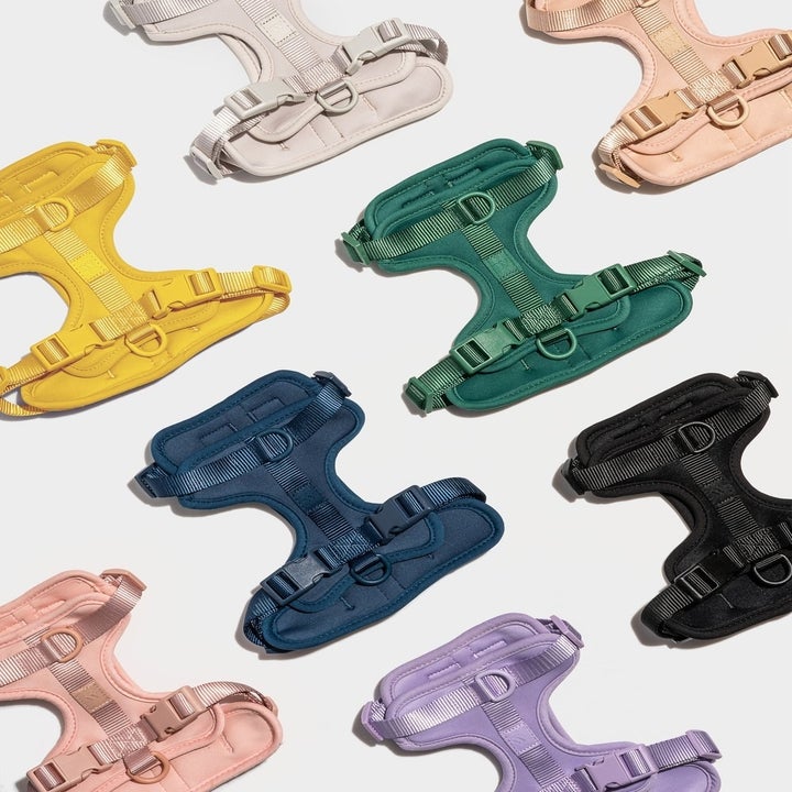 the harness in many colors