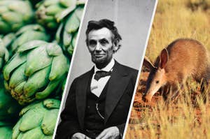 Artichokes, Abraham Lincoln, and an aardvark