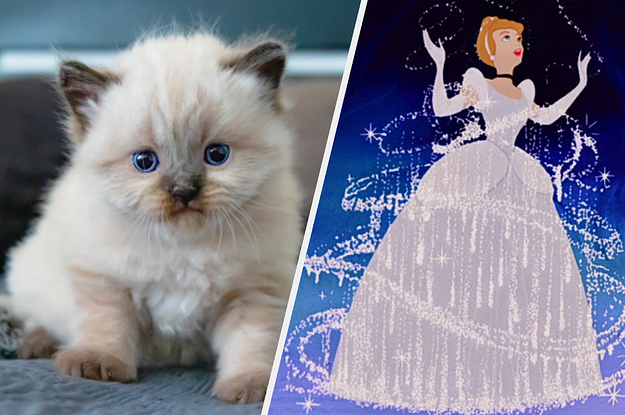 Choose Some Adorable Animals And We'll Give You A Disney Classic To Watch