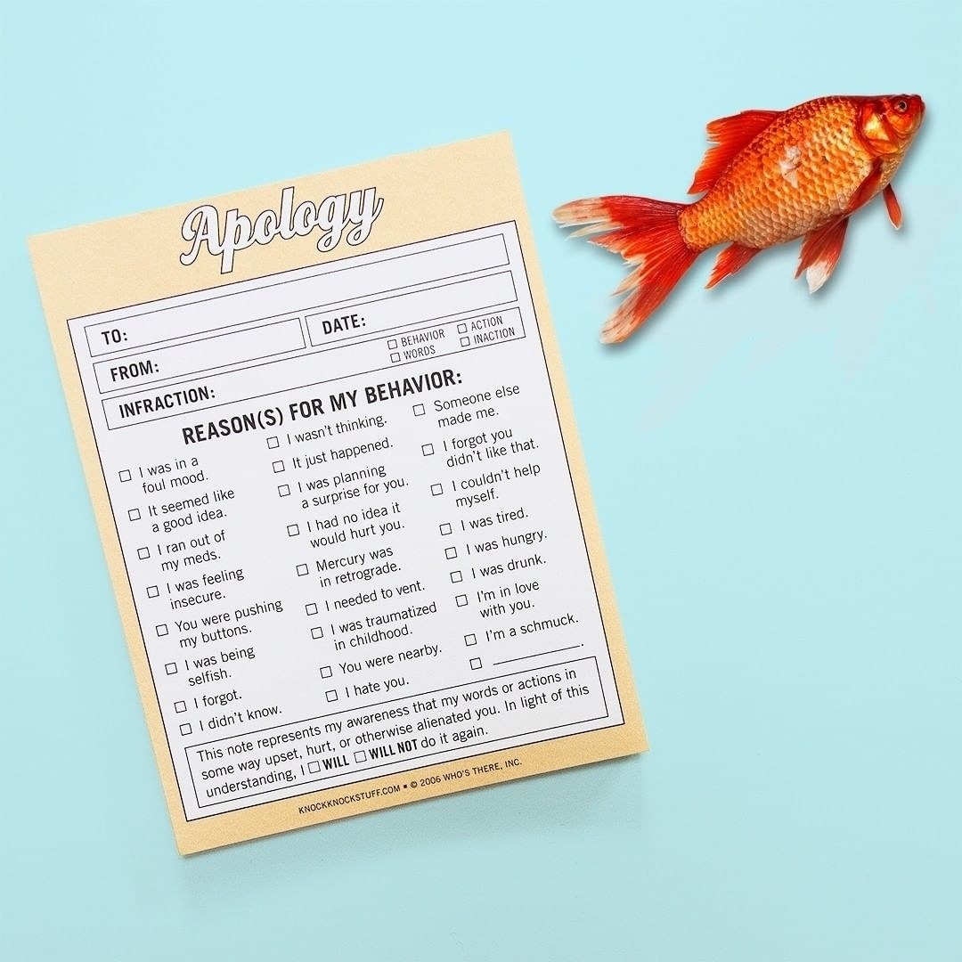 The notepad beside a goldfish