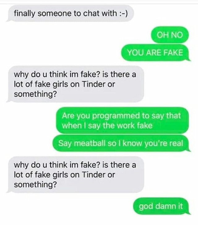 person asks a scammer to say meatball so they know they&#x27;re real and they don&#x27;t