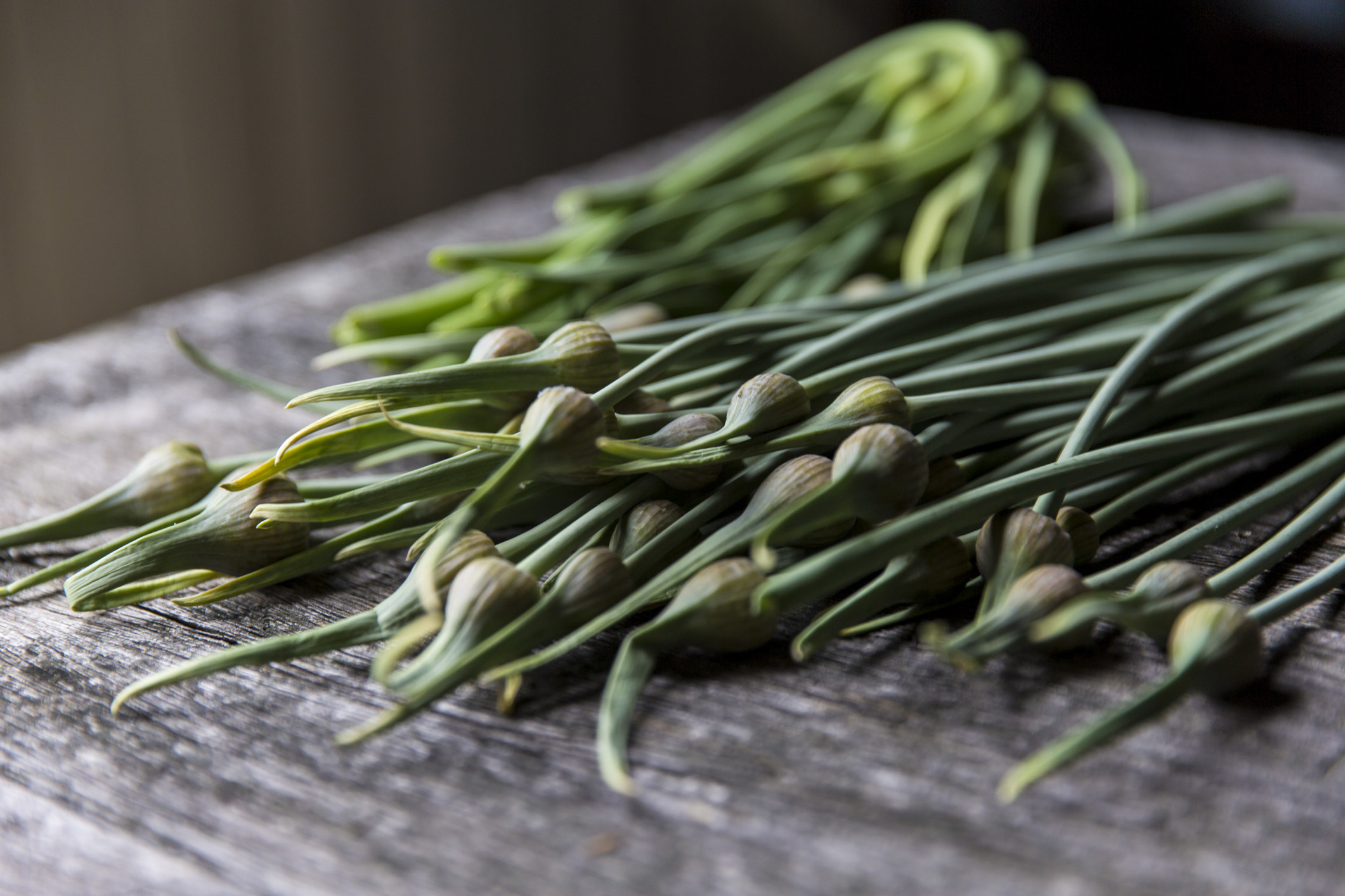 Freshly picked garlic scapes.